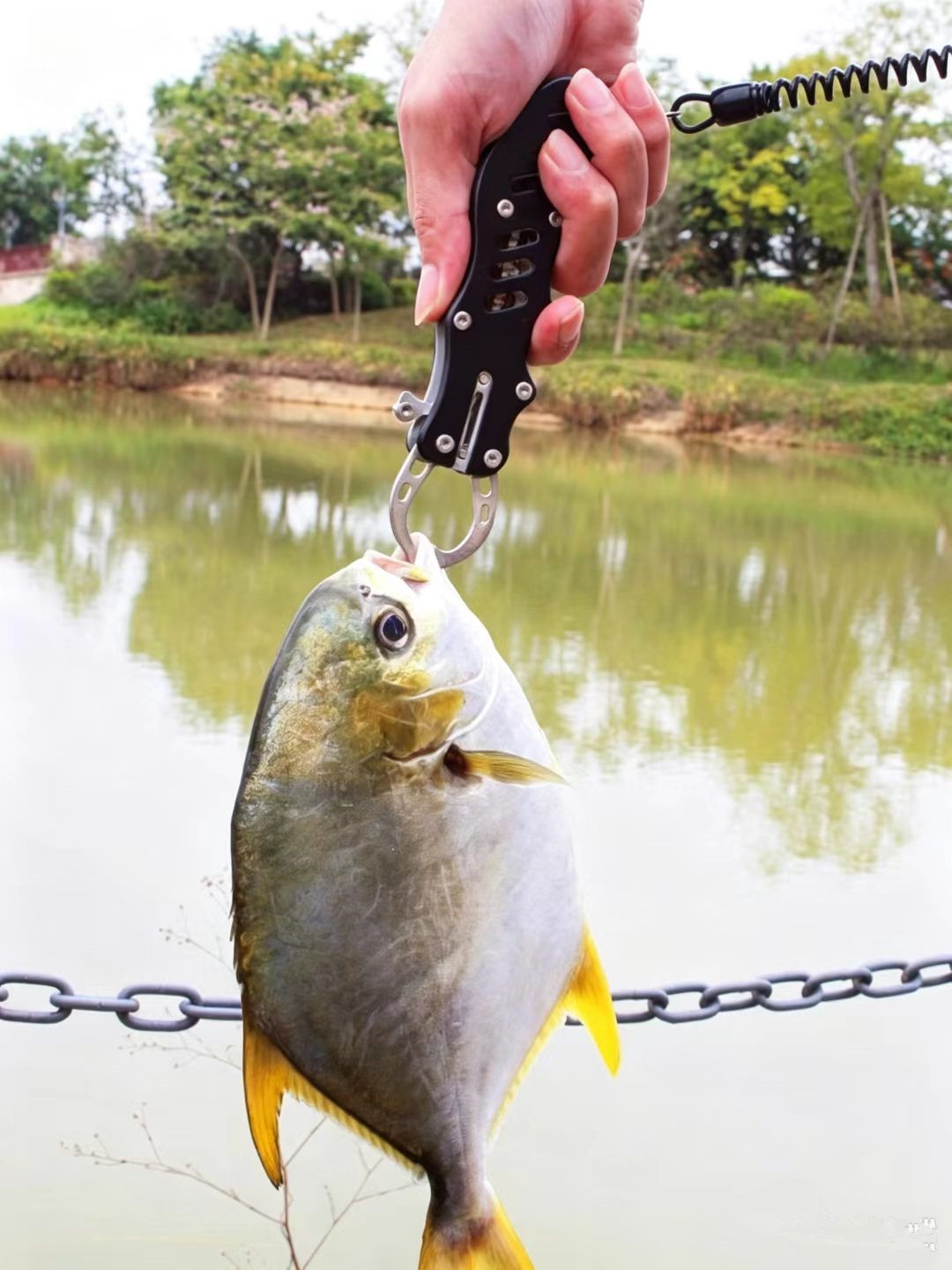 Multifunctional Stainless Stee - đánh giá và giá Fishing Line Cutter